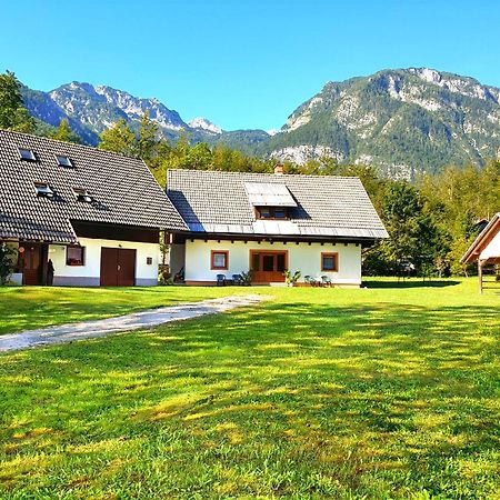 Apartmaji Zupanc Ivanka Bohinj Exterior photo